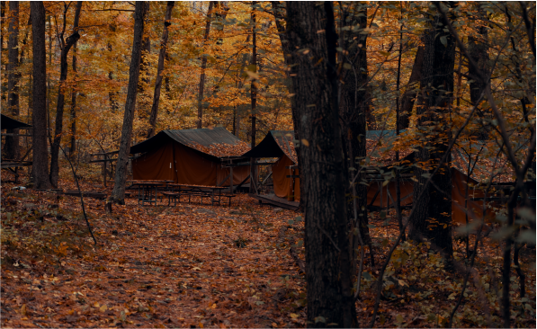 Autmn scout hut, with pretty leaves.